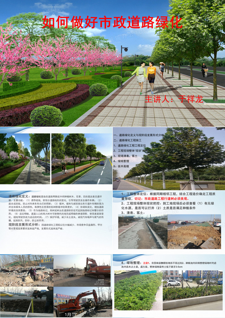 市政道路绿化