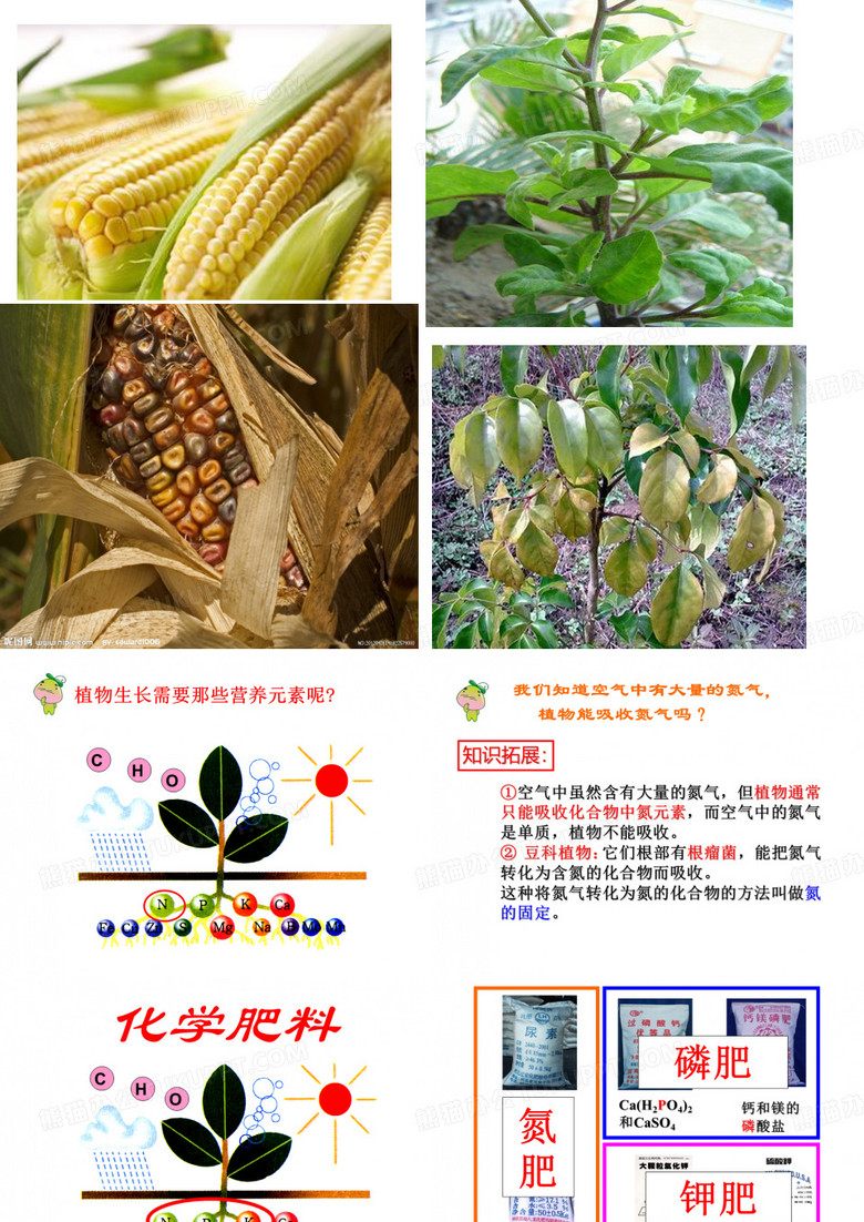 化肥