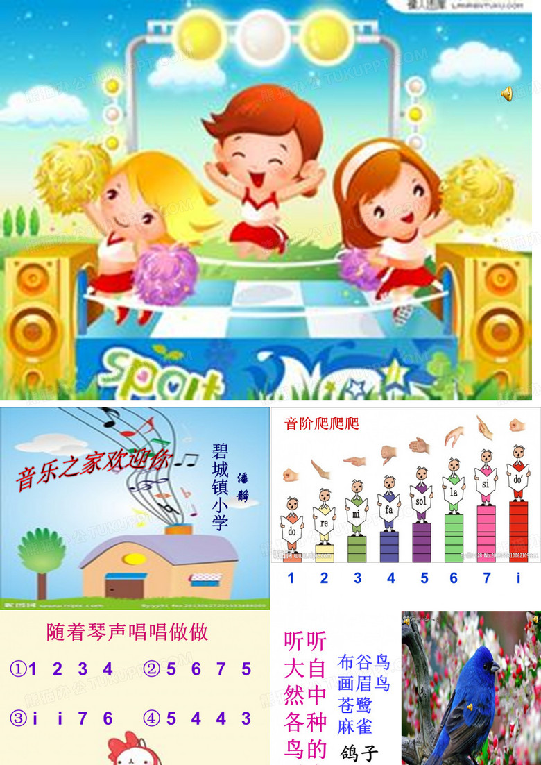 白鸽教学课件