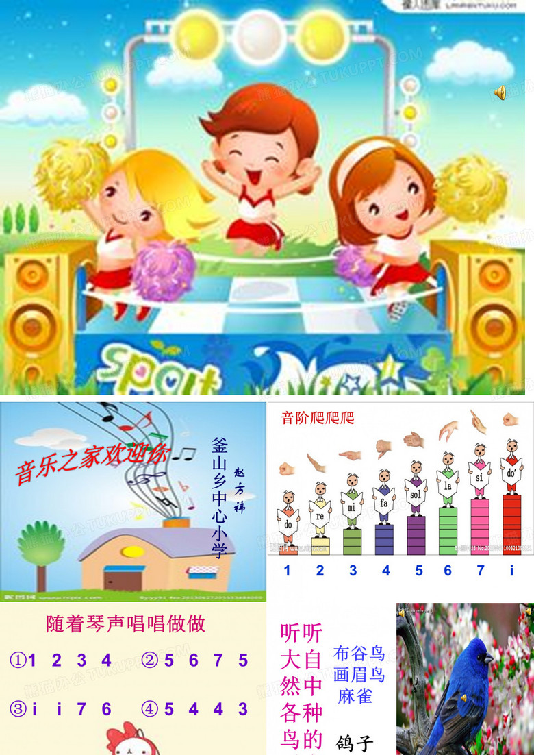 白鸽教学课件