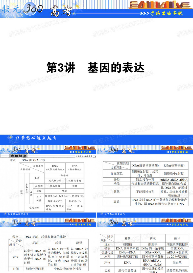 基因的表达
