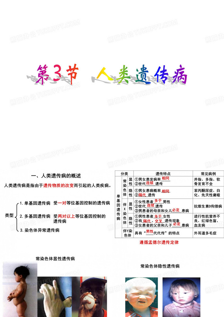 人类遗传病