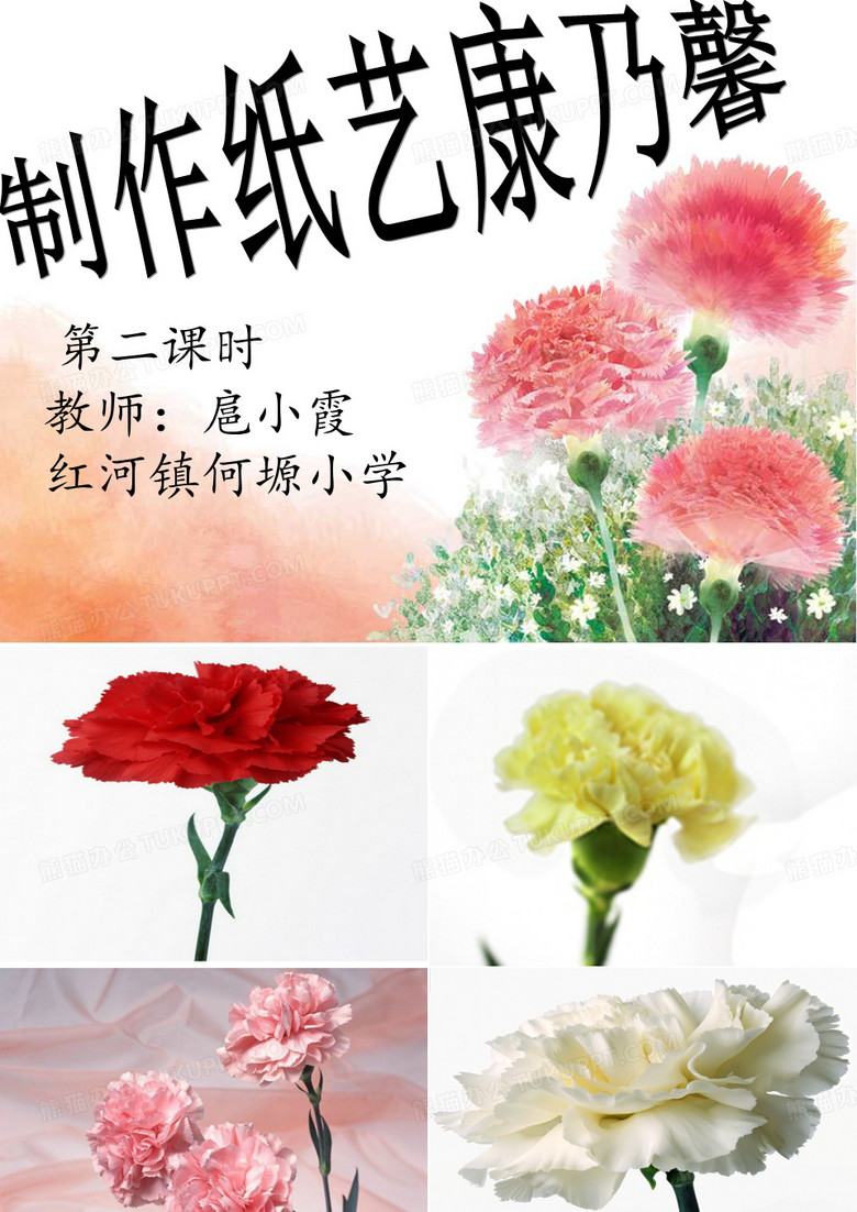 康乃馨