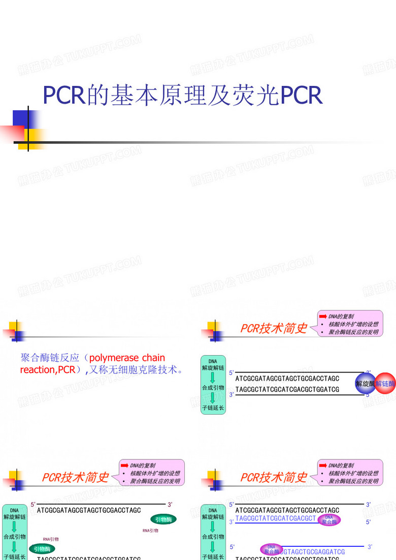 PCR基本原理及荧光PCR
