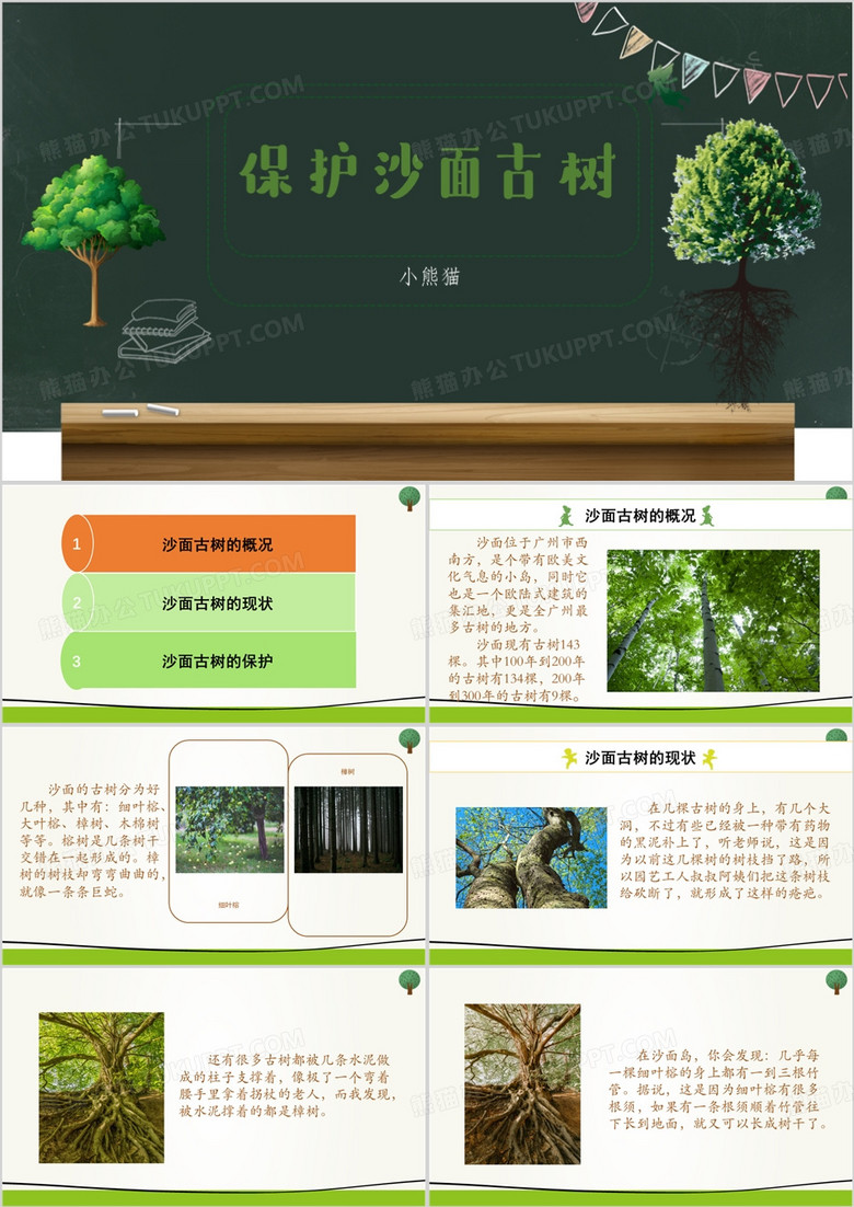 保护沙面古树教育PPT模板