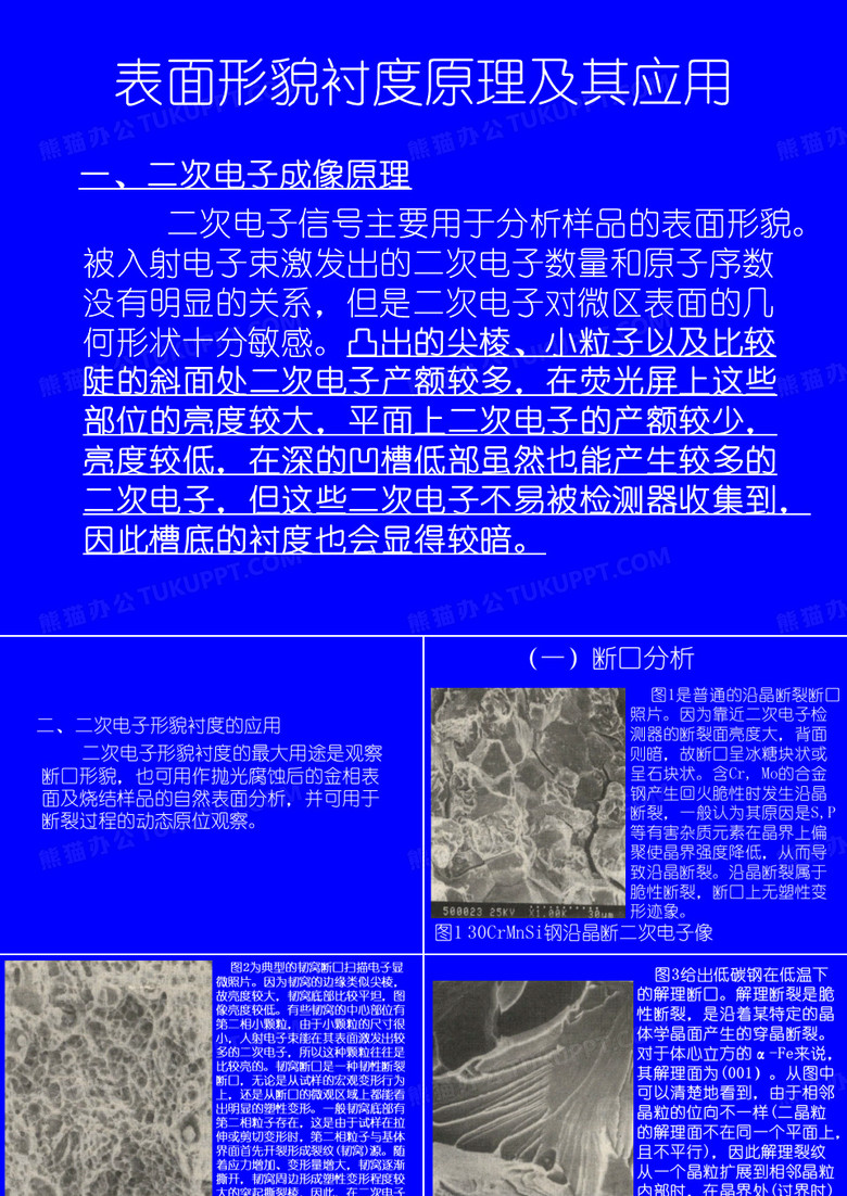 扫描电镜实例