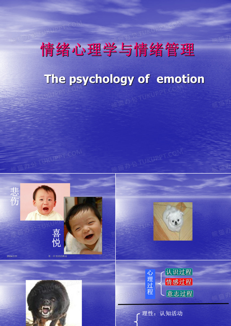 情绪心理学与情绪管理 PPT课件
