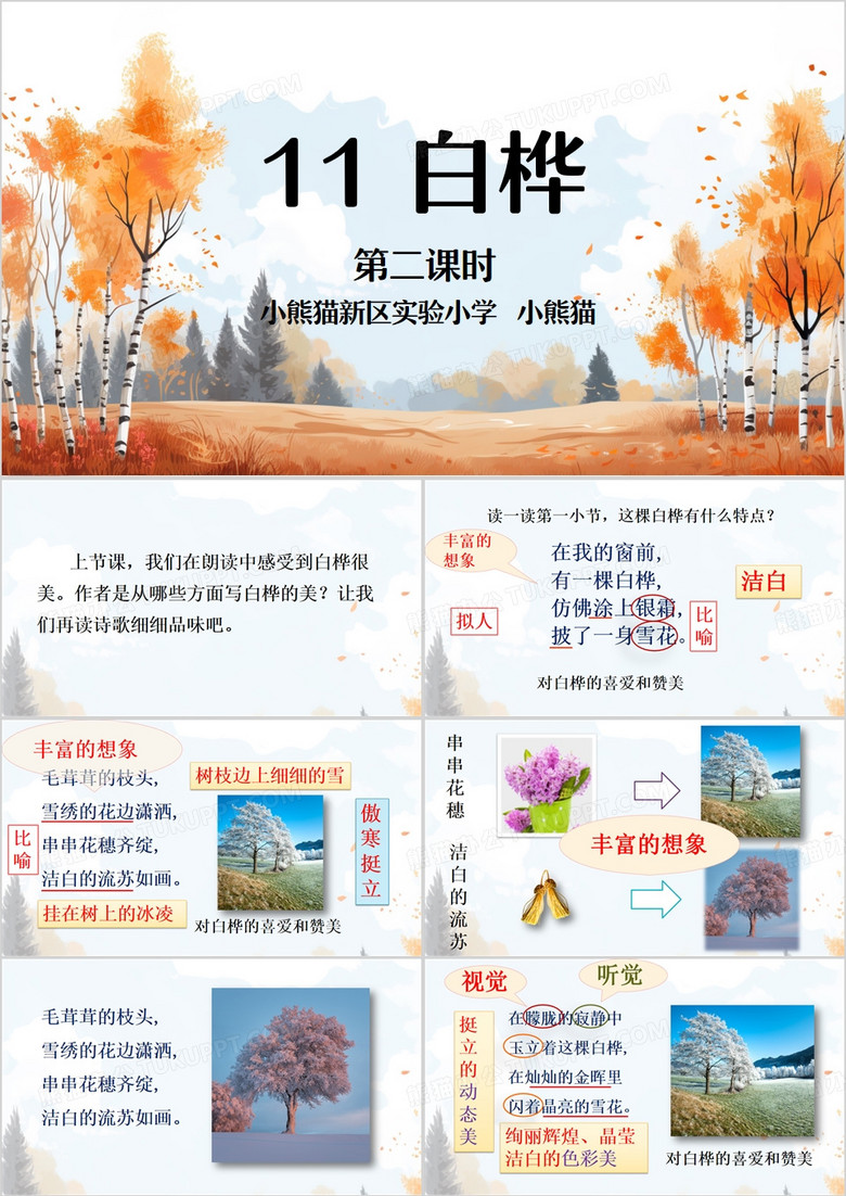 橙色简约风白桦PPT模板