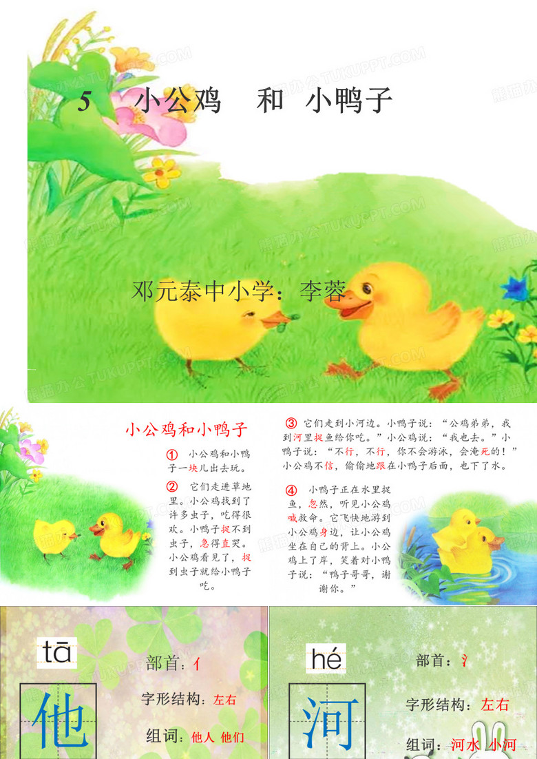 小公鸡和小鸭子