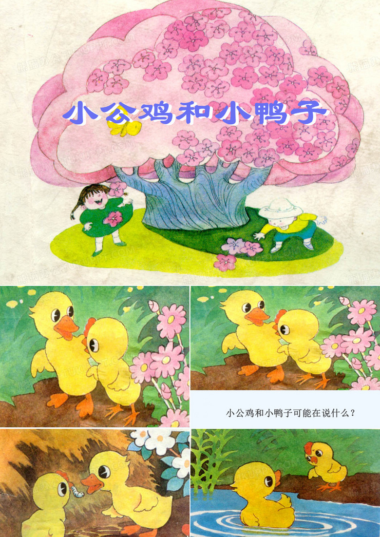 《小公鸡和小鸭子》课件