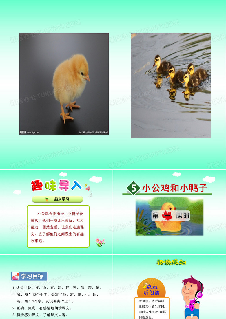 小公鸡和小鸭子 课件
