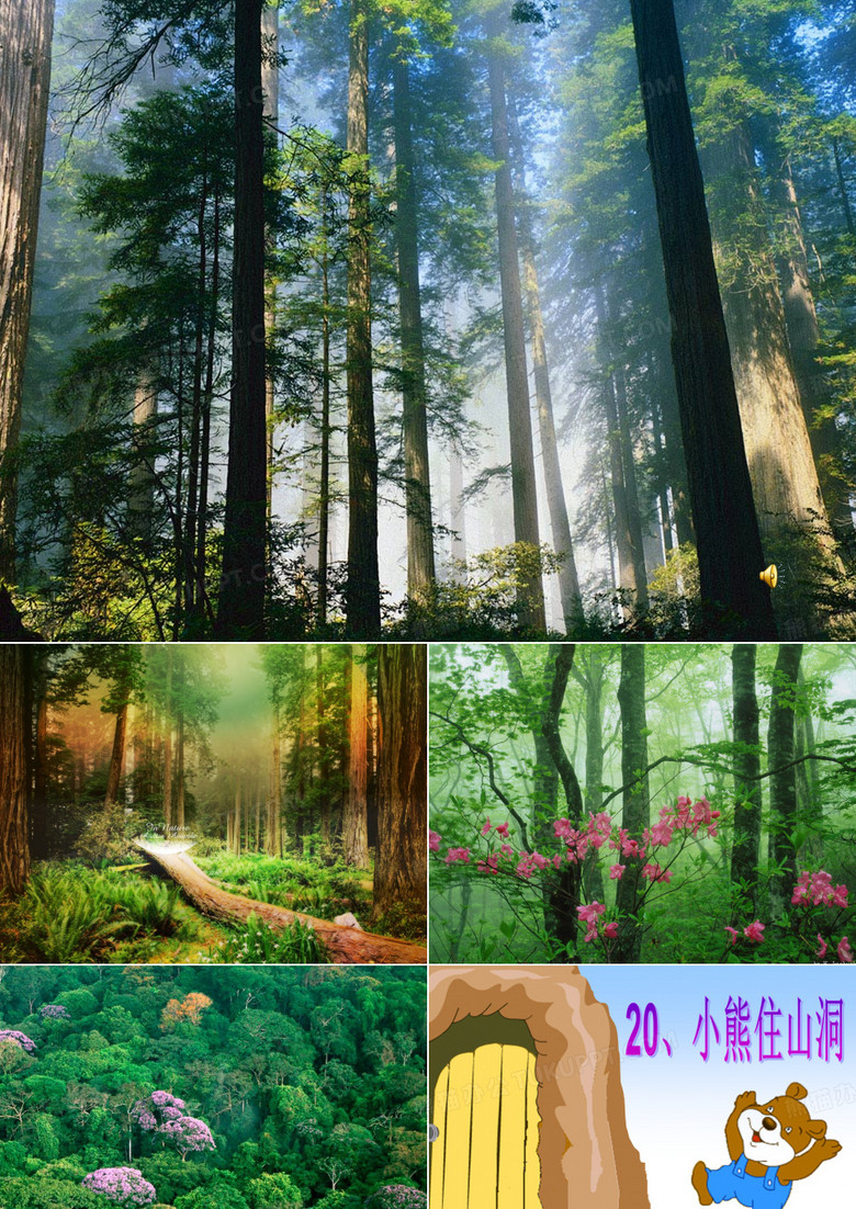 小熊住山洞ppt