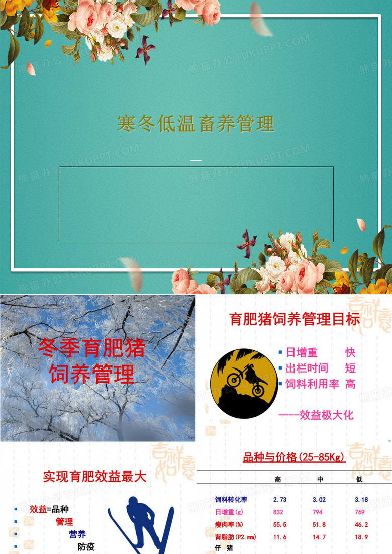 寒冬低温畜养管理PPT41页