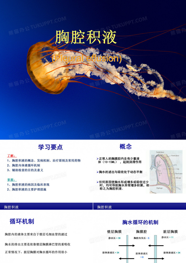 胸腔积液