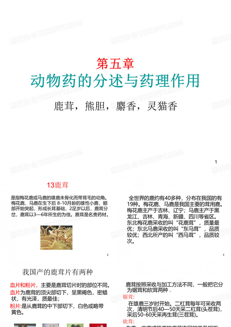 药用动物学