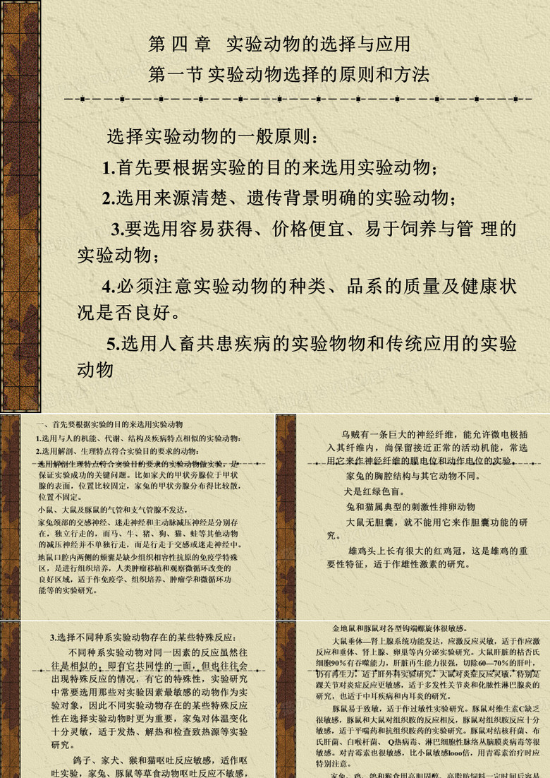 实验动物学