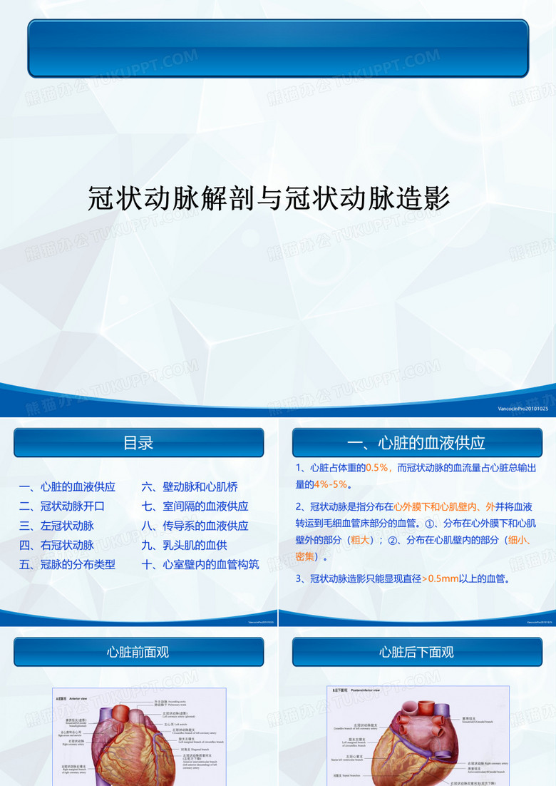 冠脉解剖与冠脉造影