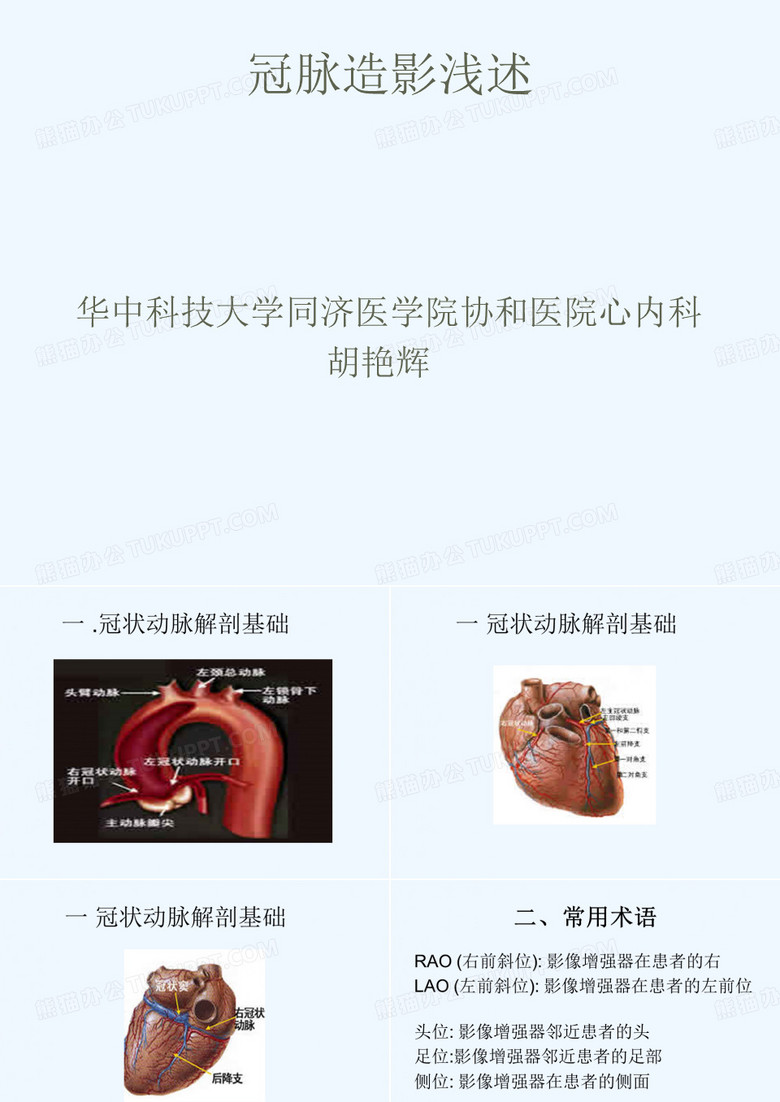 冠脉造影浅述