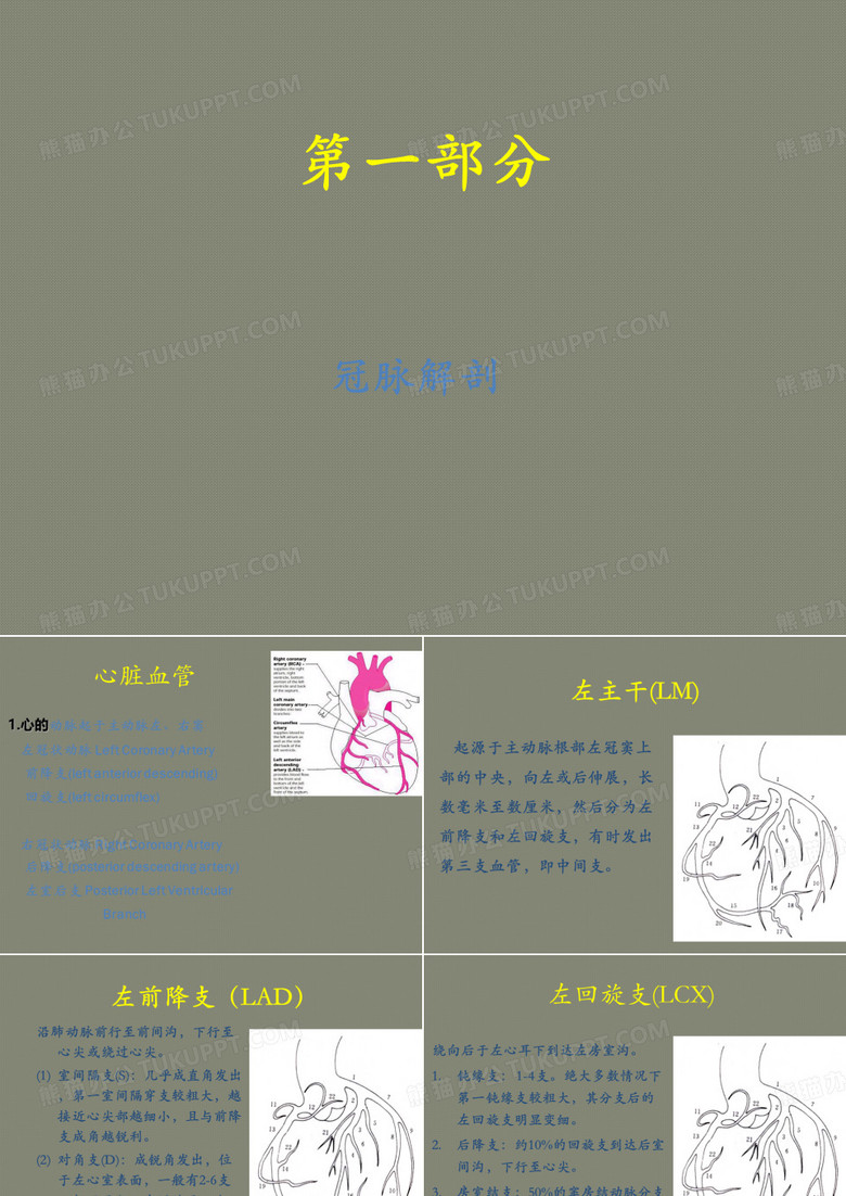 冠脉造影基础