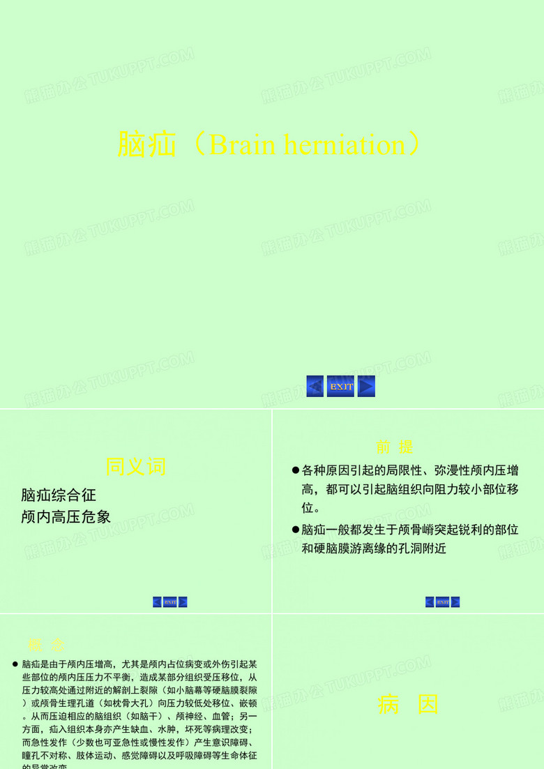 脑疝.PPT
