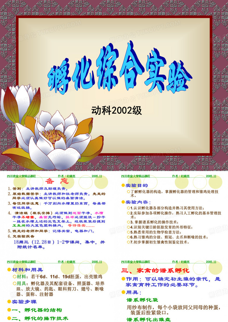 孵化实验