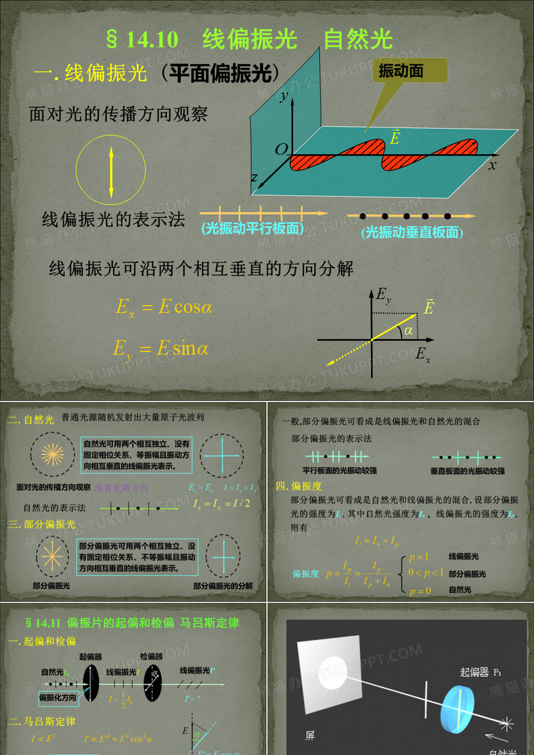 光的偏振