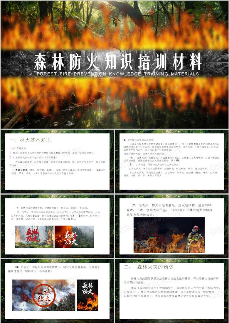 森林防火知识培训PPT模板 森林防火知识培训PPT模板