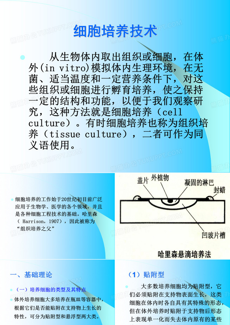 细胞培养