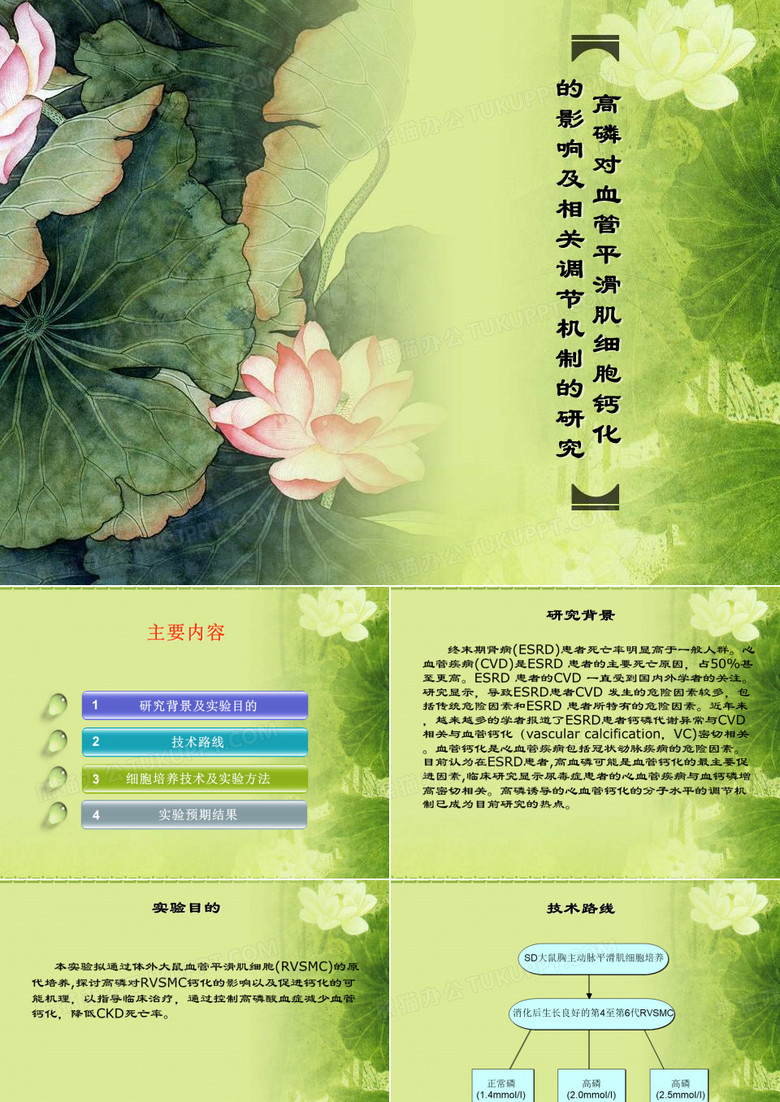 细胞培养