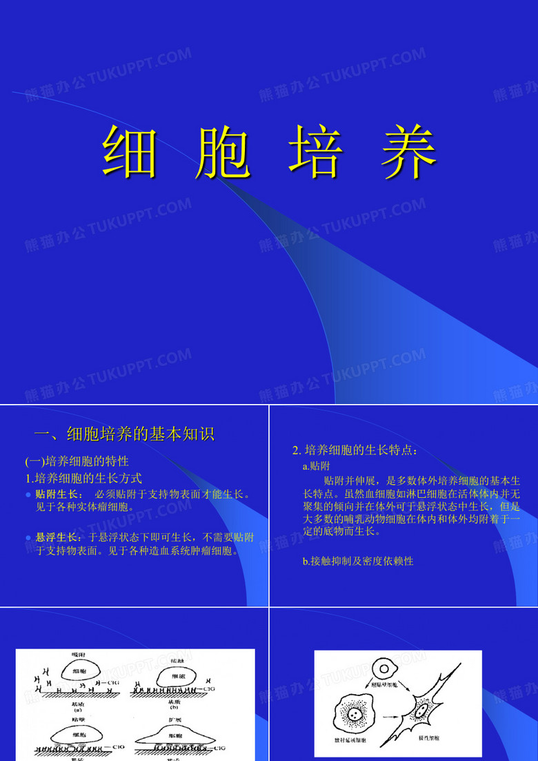细胞培养