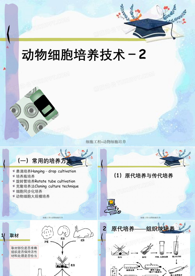 细胞工程-动物细胞培养
