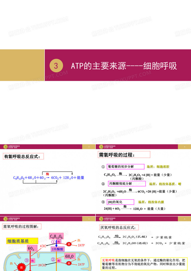 细胞呼吸