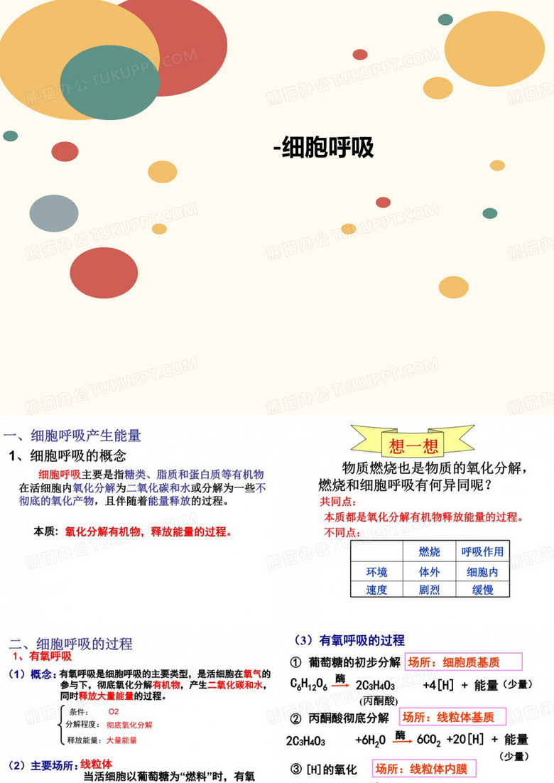 -细胞呼吸