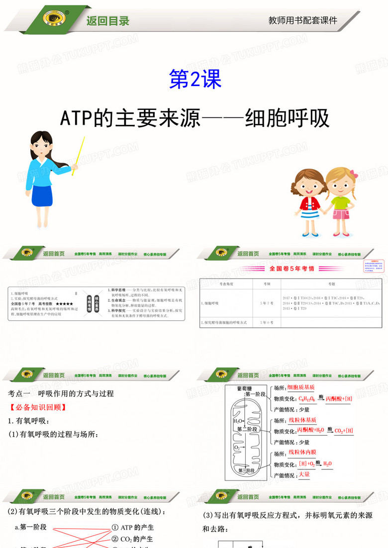 细胞呼吸