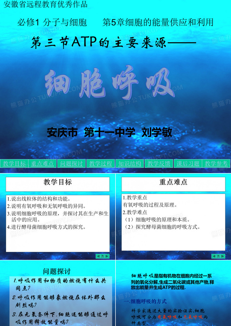 细胞呼吸