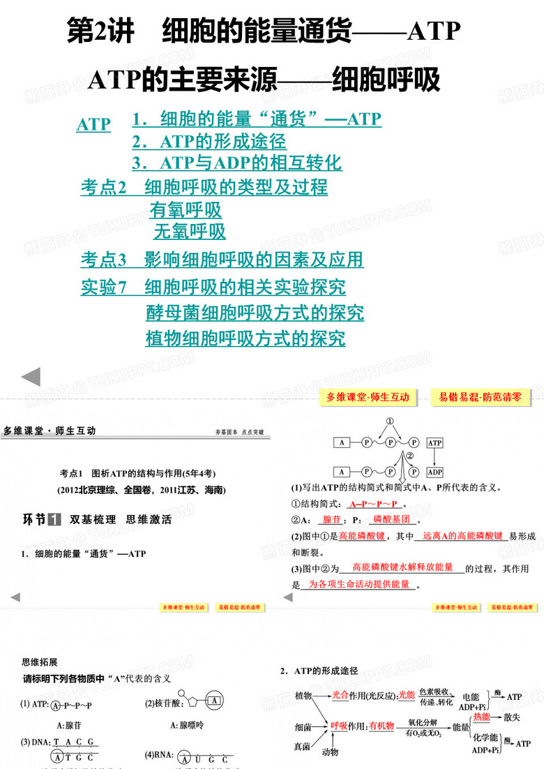 细胞呼吸