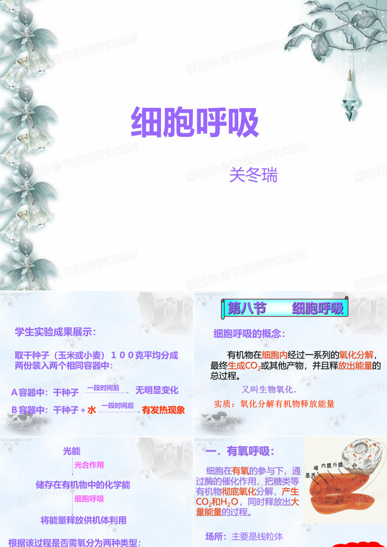 细胞呼吸