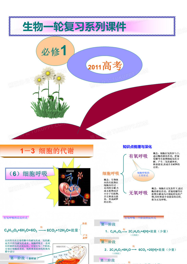 细胞呼吸
