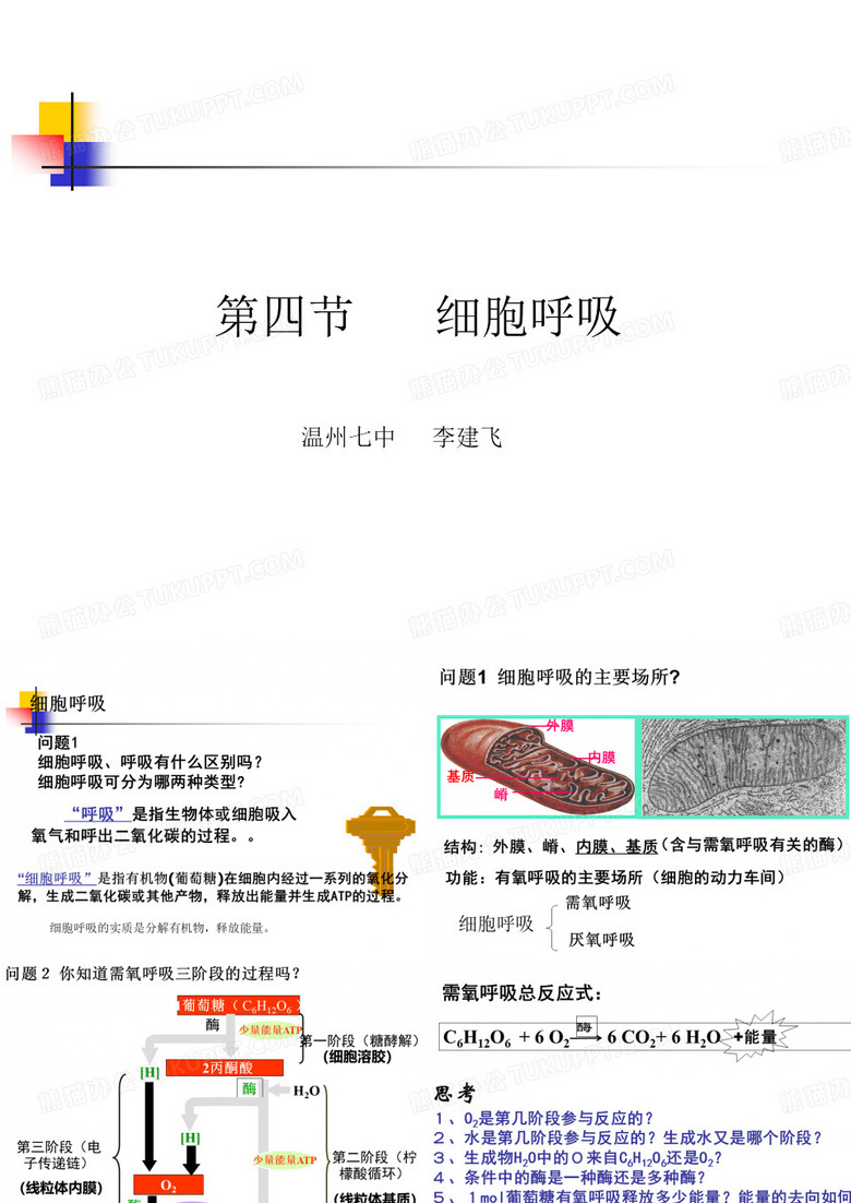 细胞呼吸