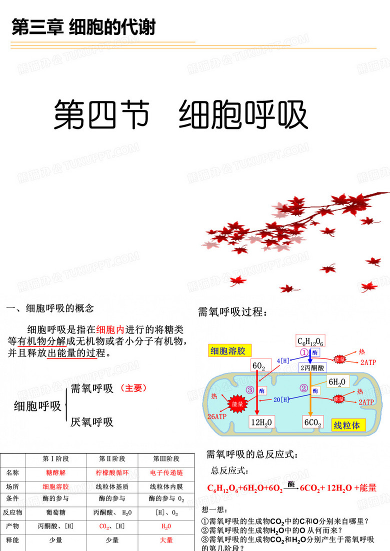 细胞呼吸