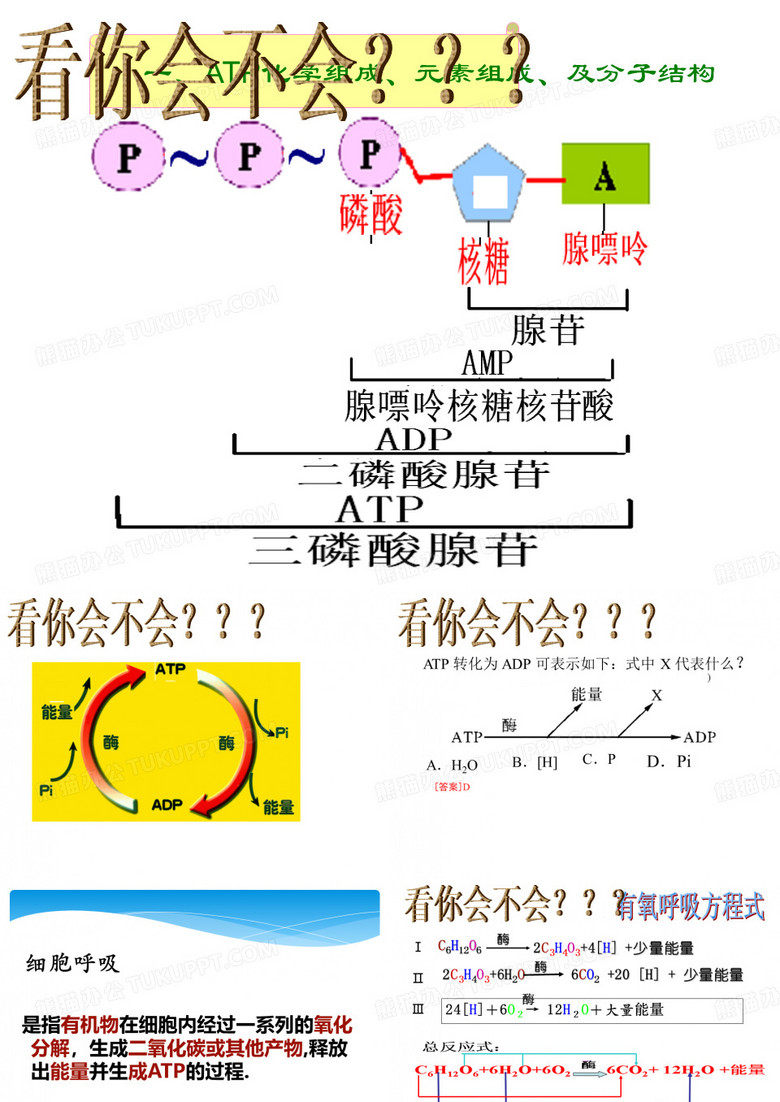 细胞呼吸