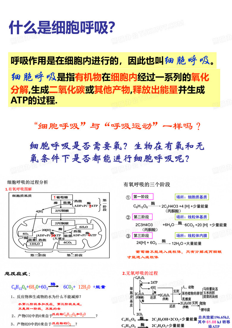 细胞呼吸