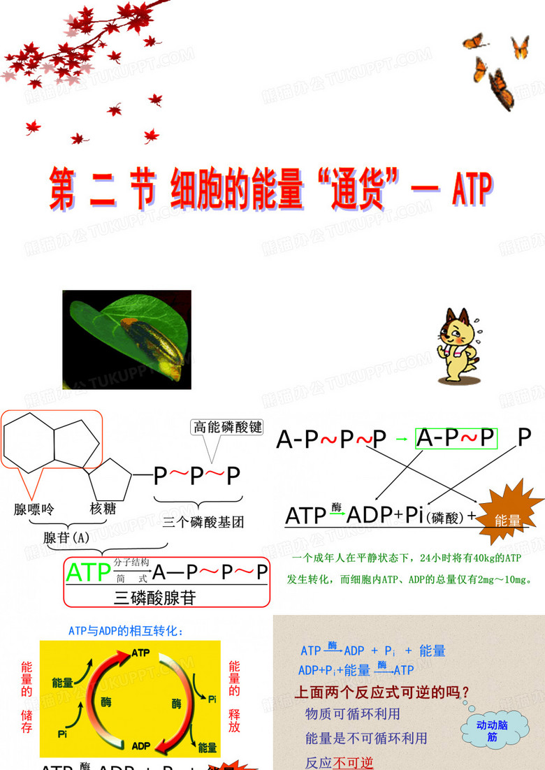 细胞呼吸
