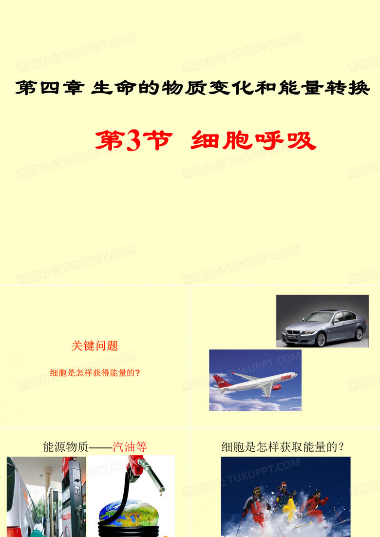 细胞呼吸