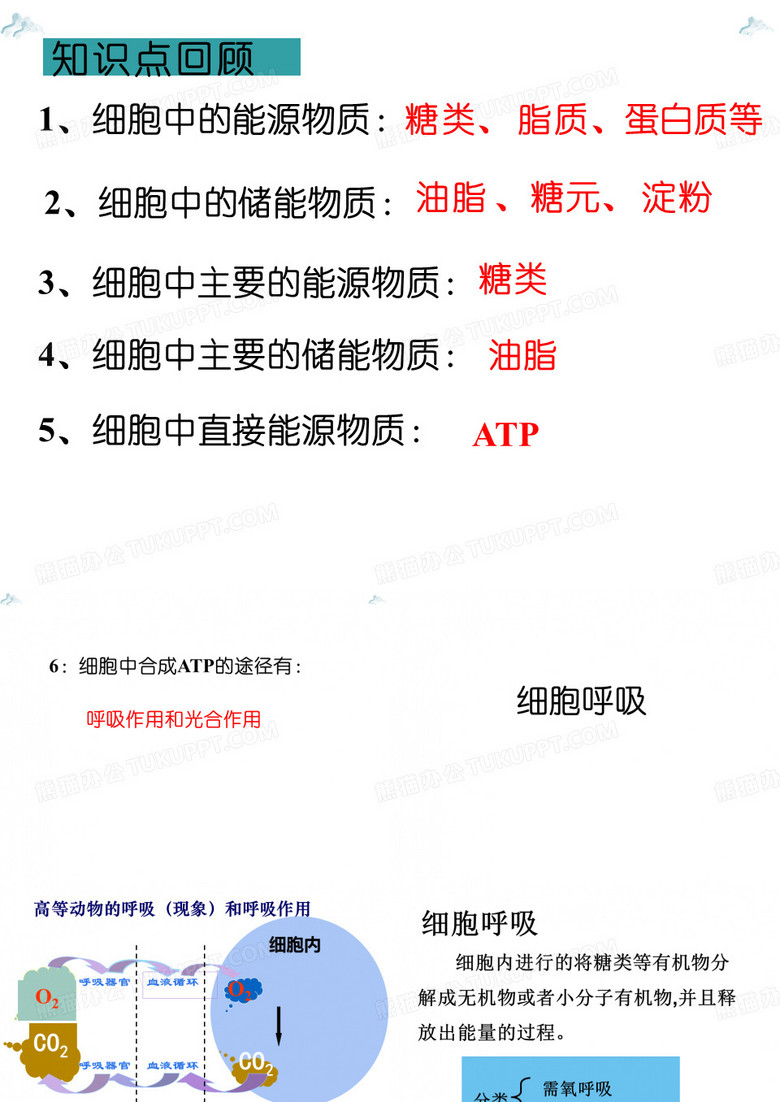 细胞呼吸