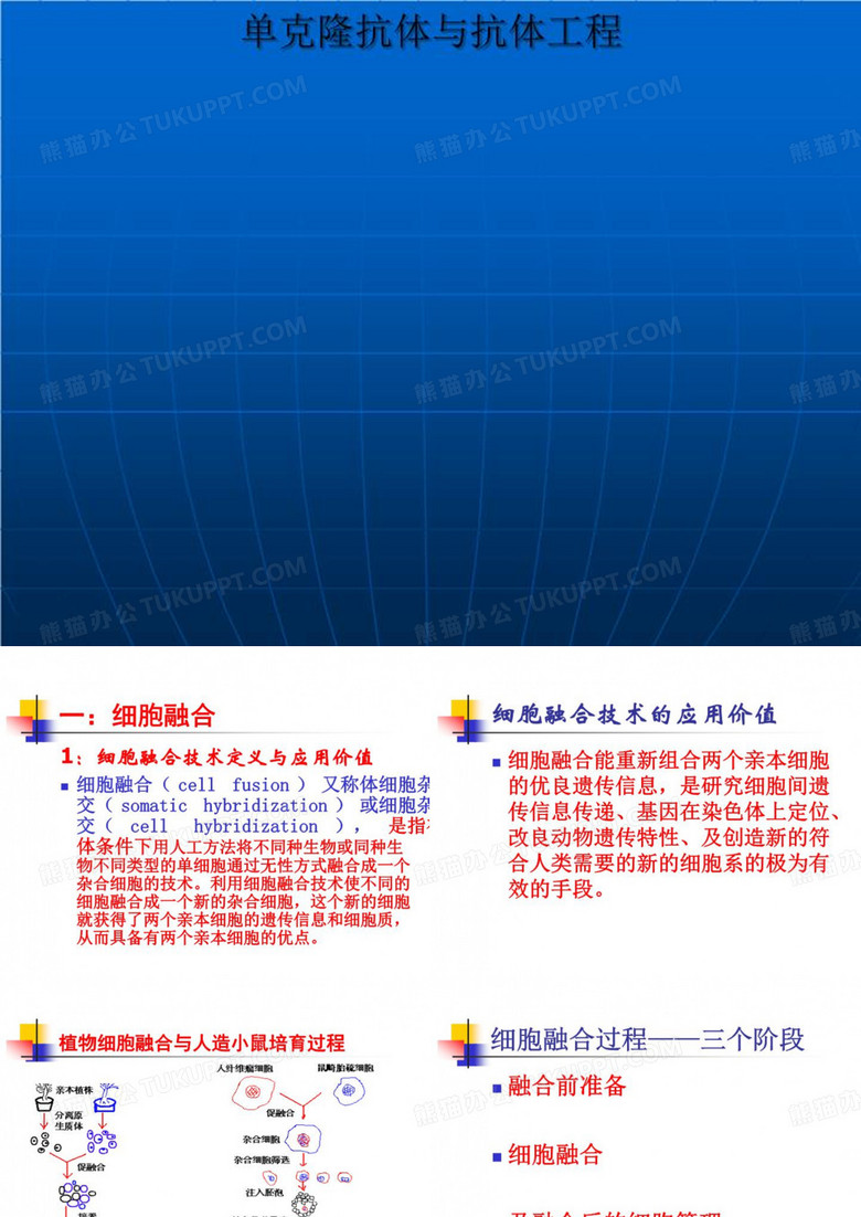 单克隆抗体与抗体工程