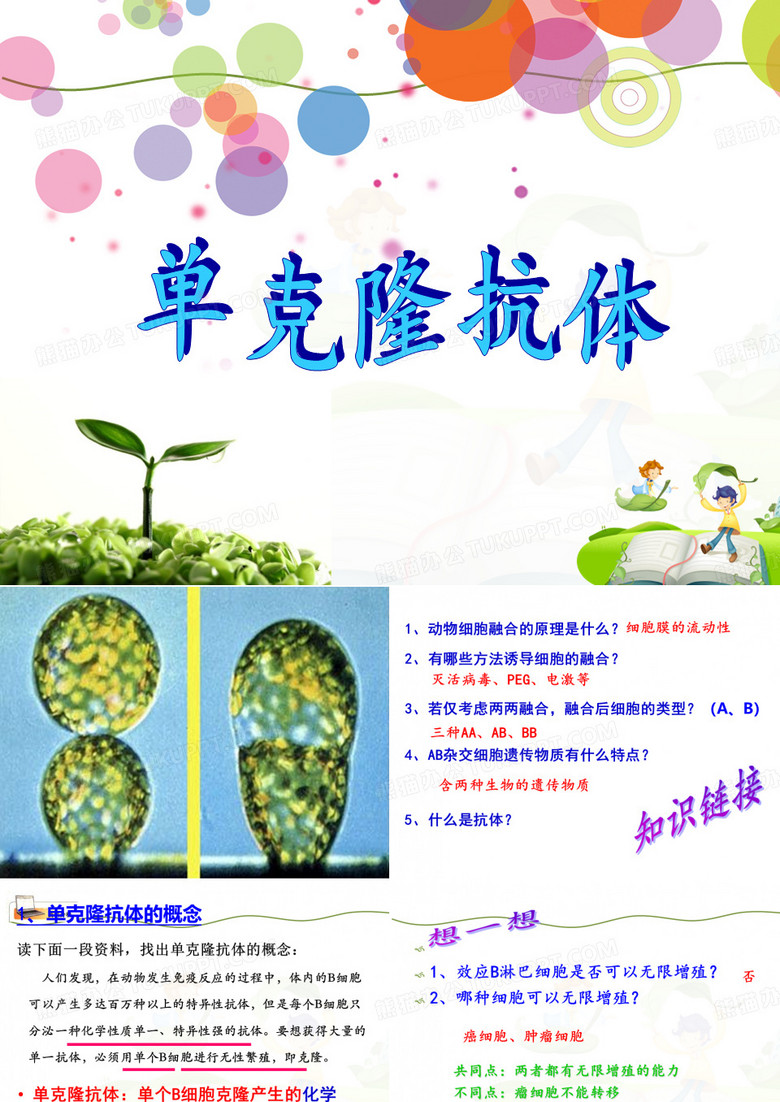 单克隆抗体课件