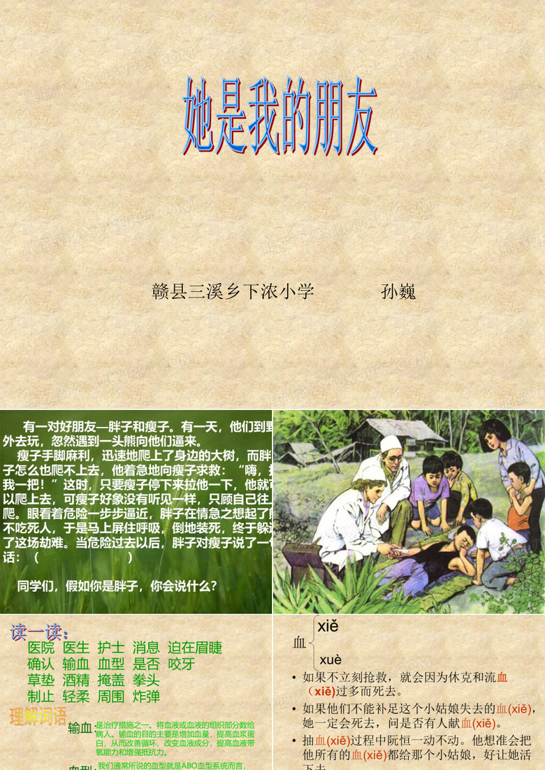 她是我的朋友课件