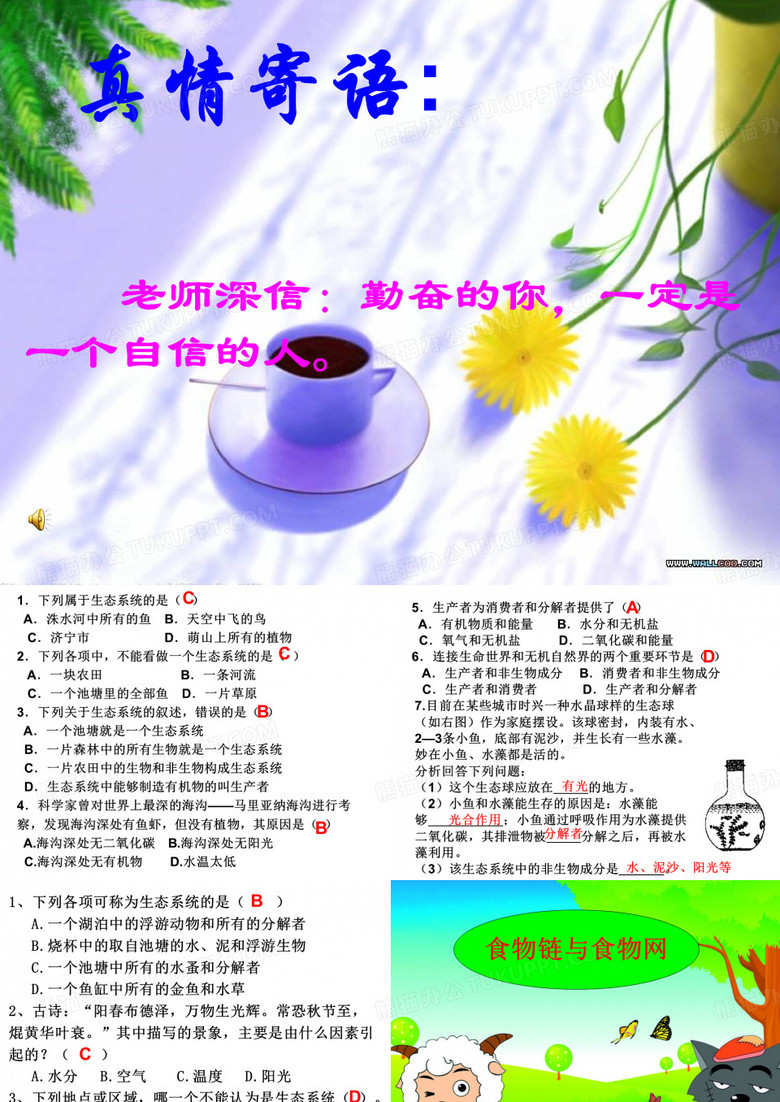 食物链和食物网