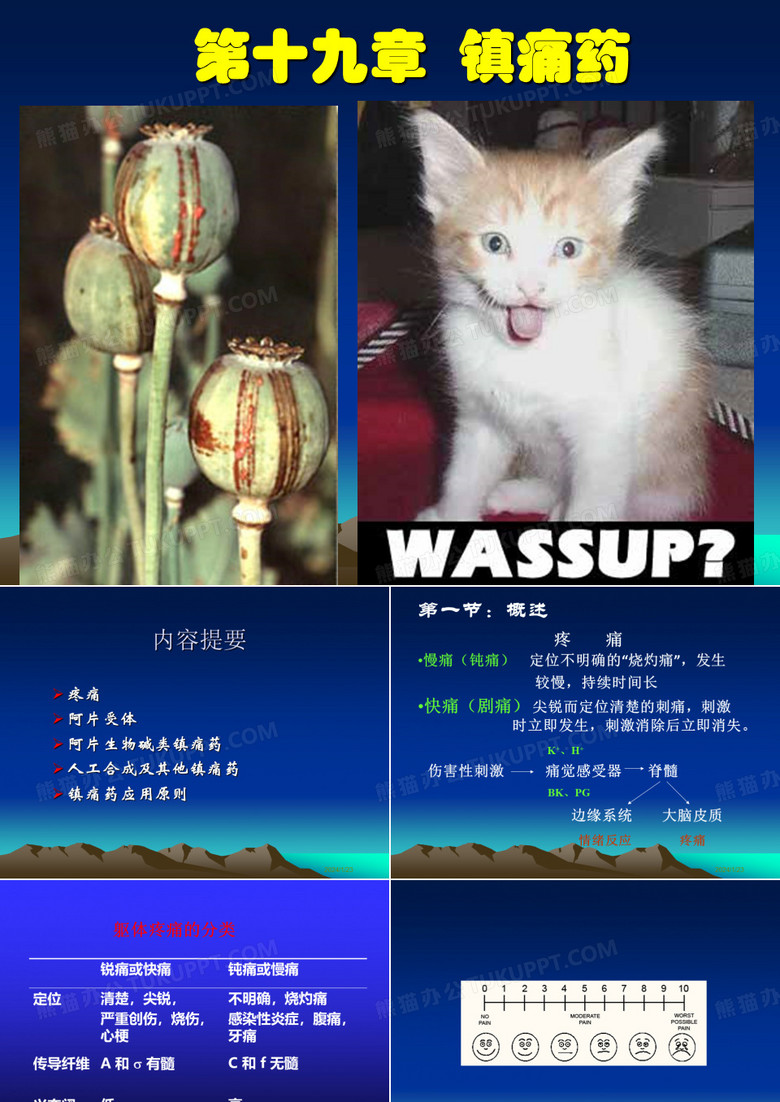 镇痛药